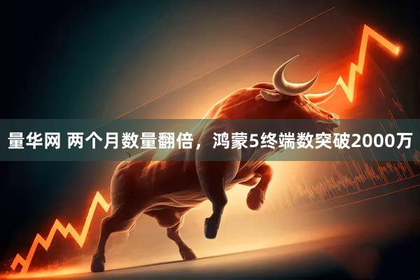 量华网 两个月数量翻倍，鸿蒙5终端数突破2000万