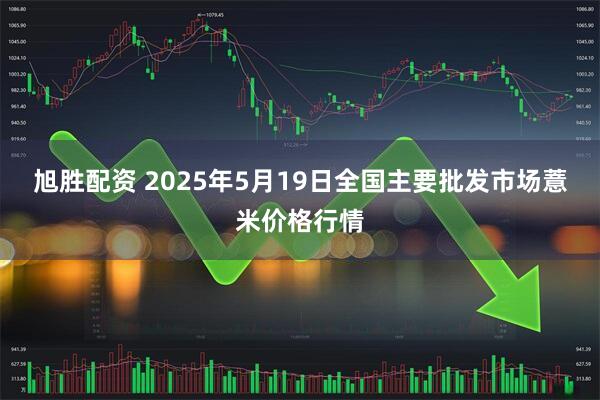 旭胜配资 2025年5月19日全国主要批发市场薏米价格行情