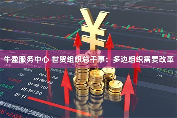 牛盈服务中心 世贸组织总干事：多边组织需要改革