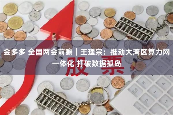金多多 全国两会前瞻｜王理宗：推动大湾区算力网一体化 打破数据孤岛